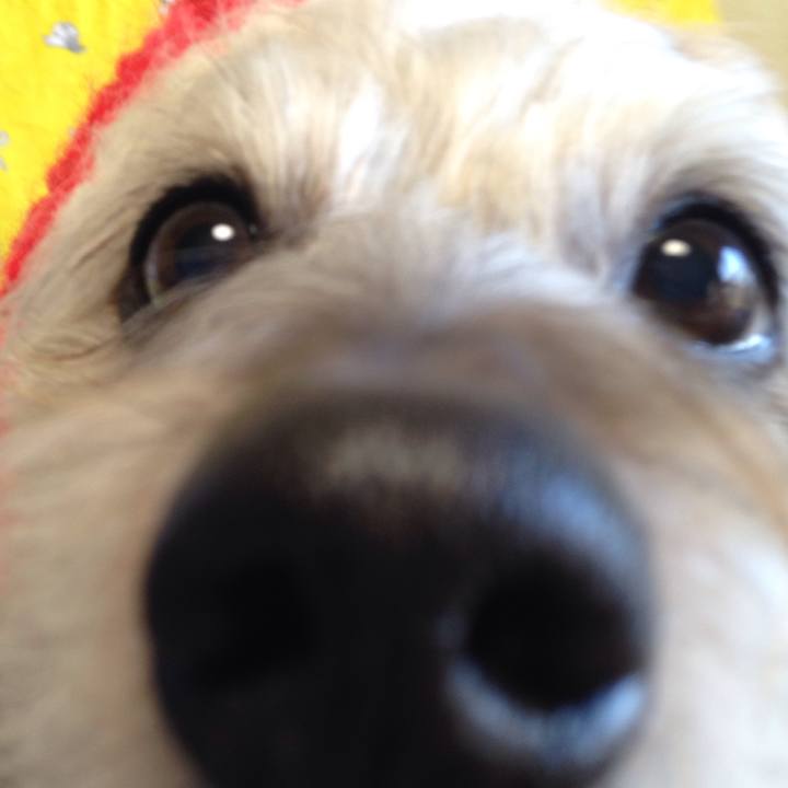 73717bb7 41a8 4c79 bba0 954732596f03