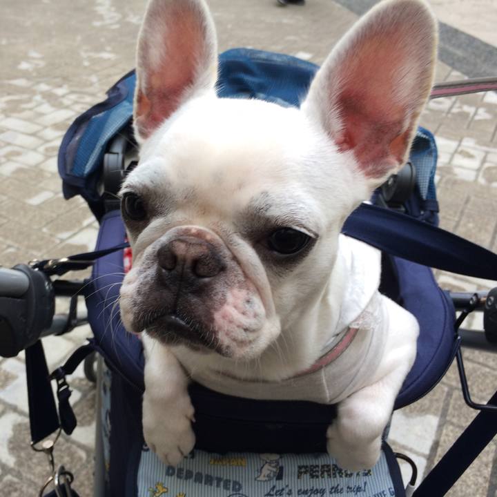 7371e2d0 26c6 4730 8f51 b332e5d95bc6