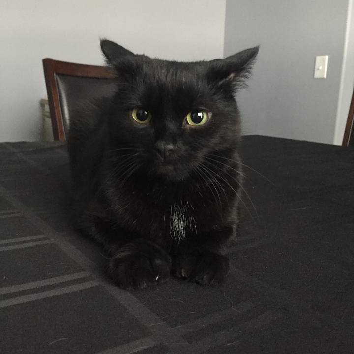 7372c6d6 6d9b 465d 922b cfc4e22acfcf