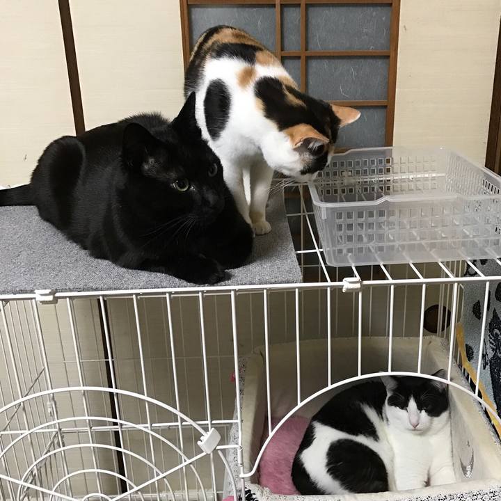 7372f553 76c7 4827 94b2 ab3bf5c4d574