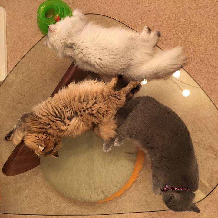 7373093a 8eab 4a9d b79a ae9118657bff