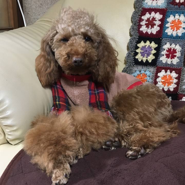 73734006 3602 4056 b8fb 4a11b84cfa09