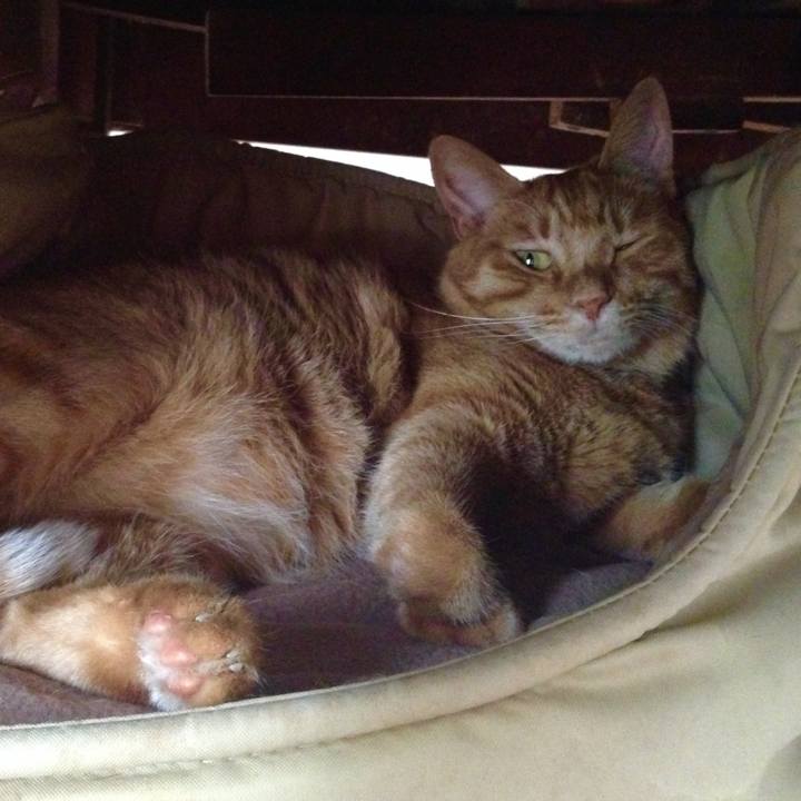 737352da 4df3 4f65 bbbb da9659e47482