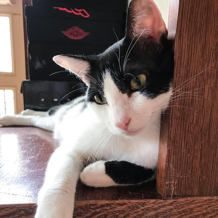 737399f3 bbbd 4526 a688 7aac515d335c