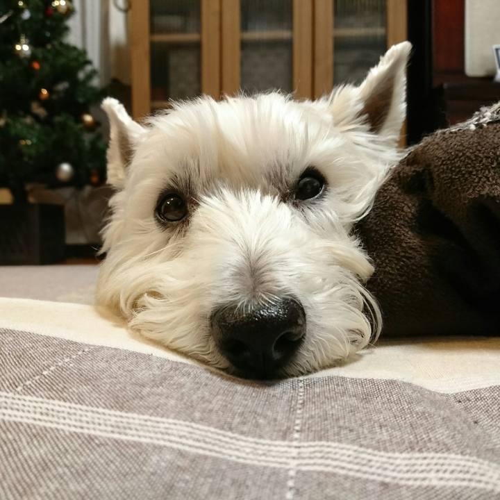 737432f0 778d 44c3 b29b 6b13c4e9e192