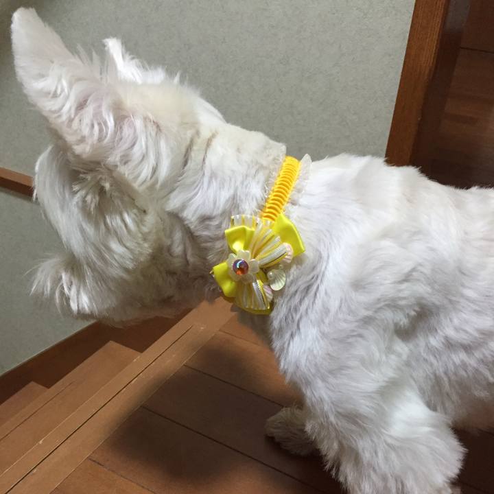 73751bc2 5adc 4acc 9433 86541df18c7e