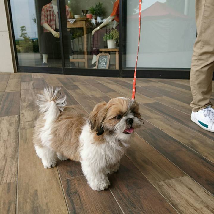 73757418 5a4d 4149 840d 649fc81e5051