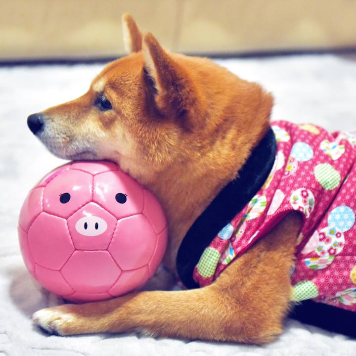 73757e4a 39c8 468d 9d15 22673b56e3fe