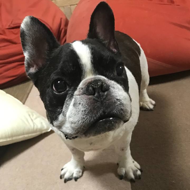 737796d7 a63f 44e6 bdfc 2b462f4611fb