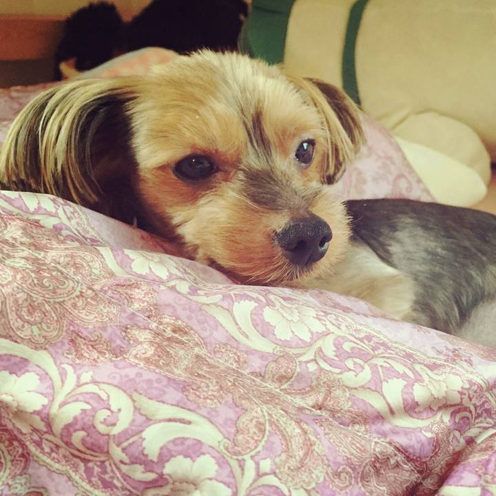 73779845 88a2 49ee 991e 12366a87d69d