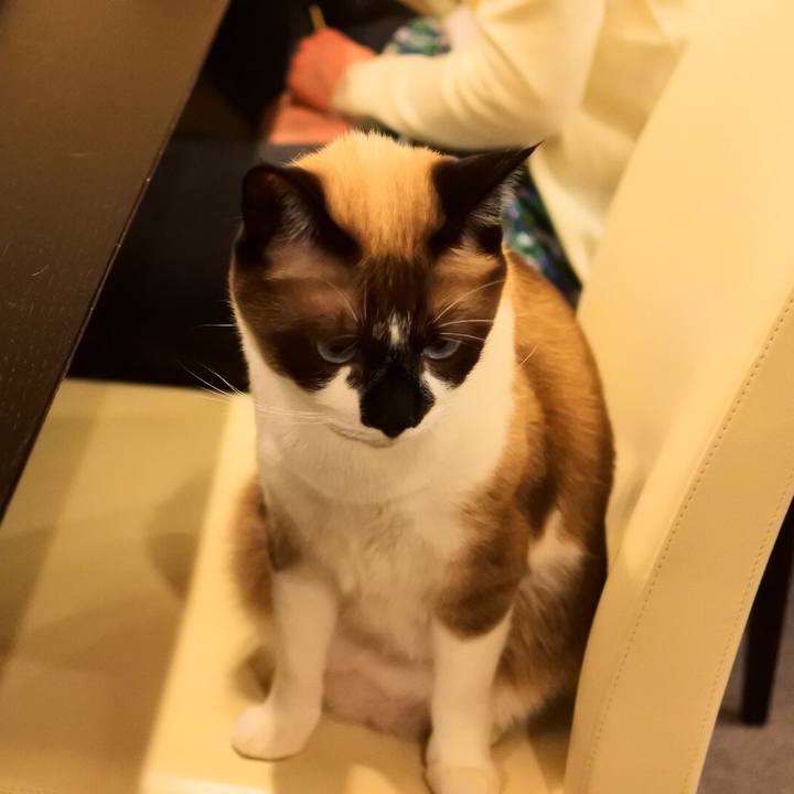 7377ccd3 788c 43d1 a8fd d3385fc9fb10