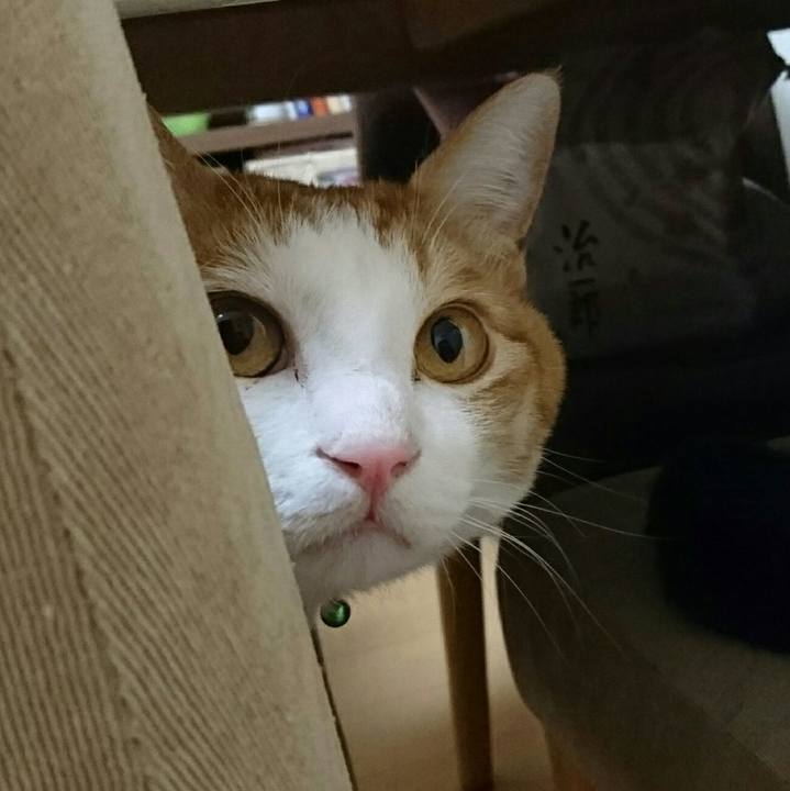 737853f5 4d71 4c4c b81c 29882ccb48de