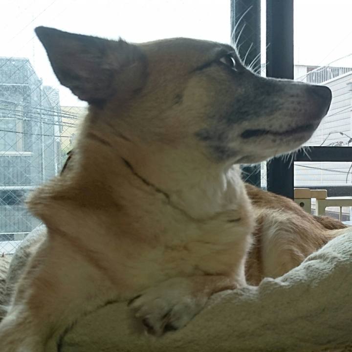 737a2414 dab6 48df b867 7d11cebd8d2f