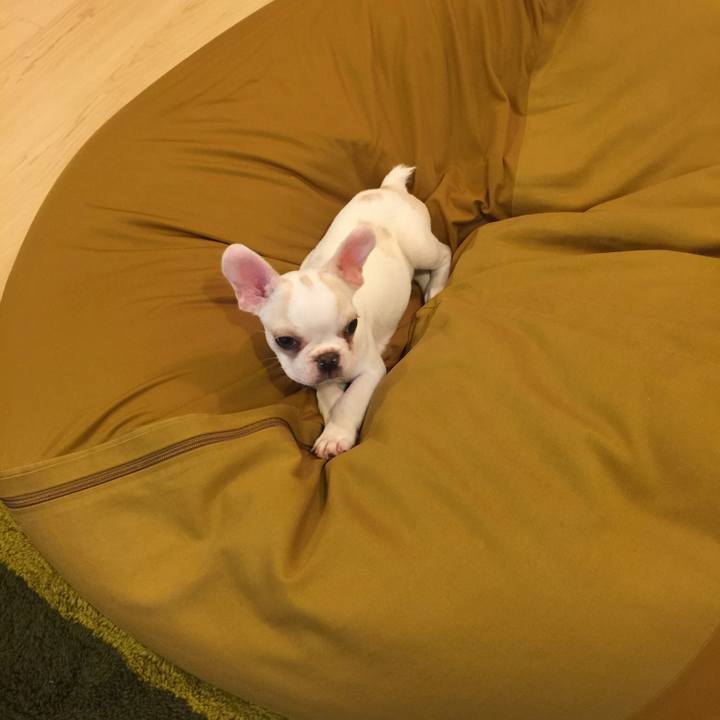 737aad3a 7b0e 4e32 8da3 9a2a4724cd98