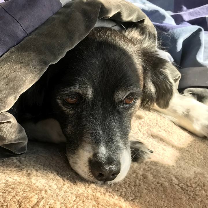 737ad51a 41cf 46cb ae6f a4828ce72840