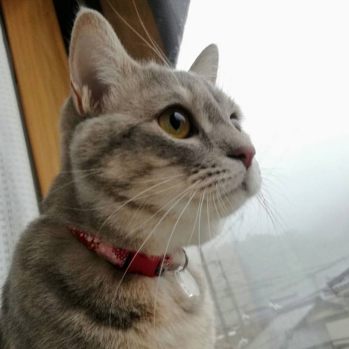 737b10ac 2967 4645 a7a1 1bb613266679