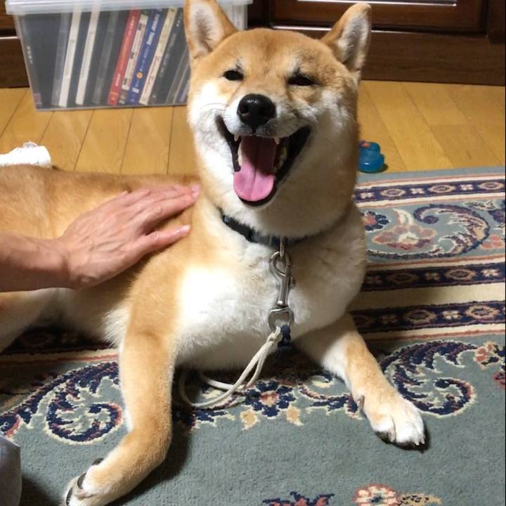 737b93b6 01ec 49da 860c 0bbff0efcb8e