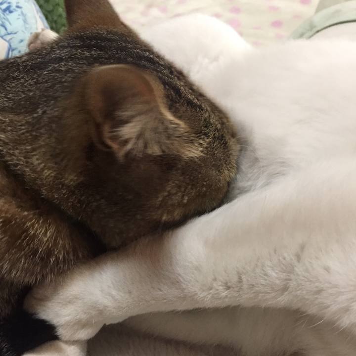 737bdbe8 f3b7 4715 b06b 6d6ac315074b