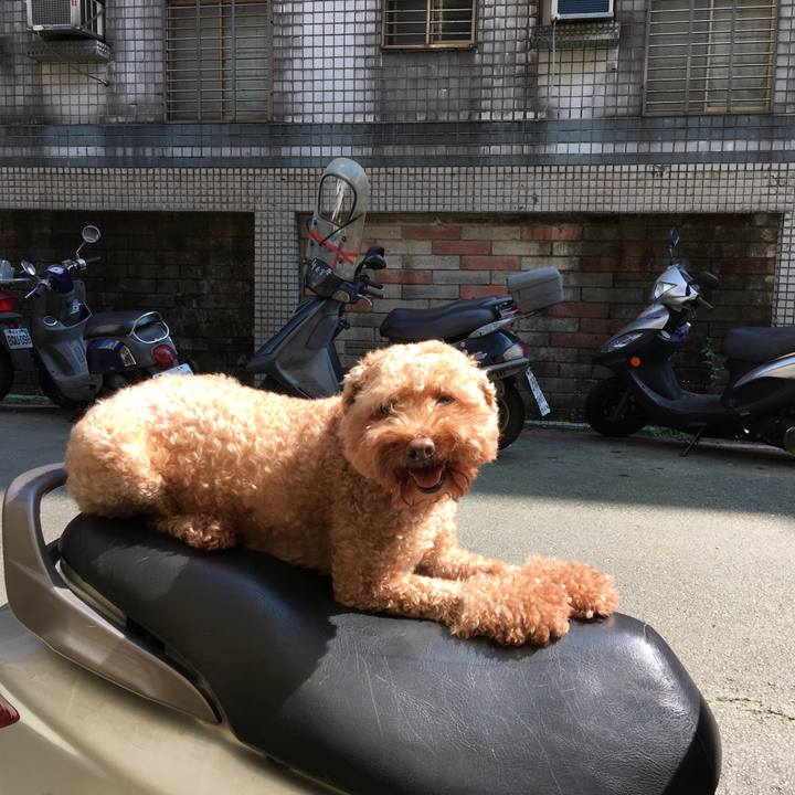 737c35df 4d3d 4ef9 9e48 c732ba3a646f