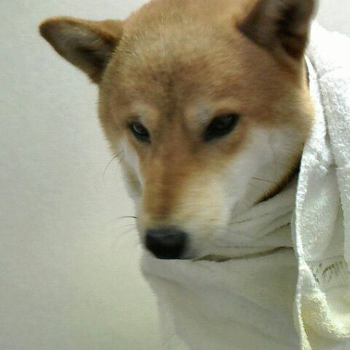 737d8e76 4496 4df9 b88a 0e5e5d9d7cbd