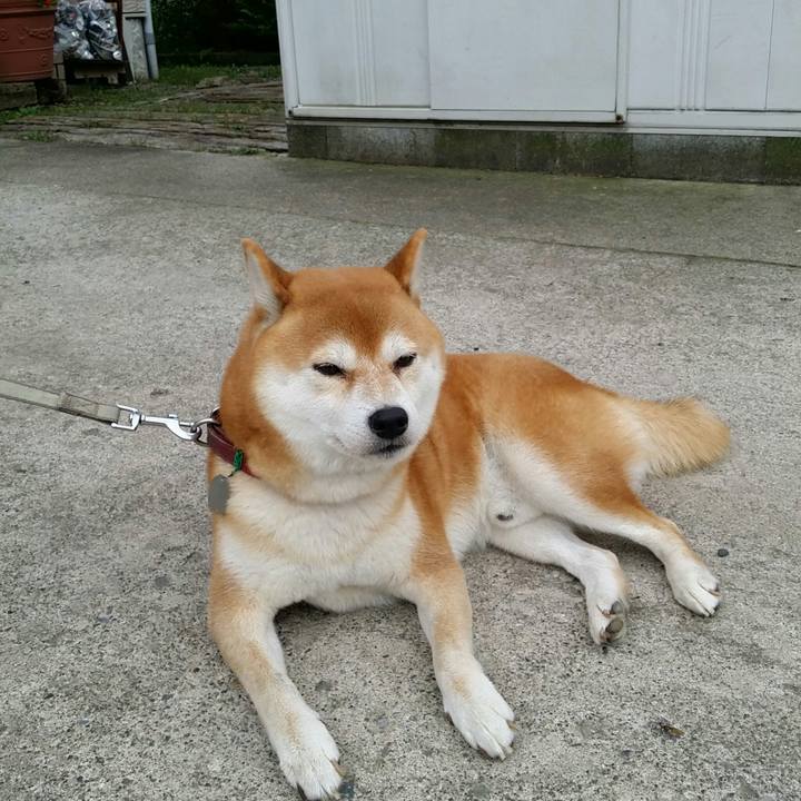 737d9910 9e1d 4357 9a0b de3f8fb3229b