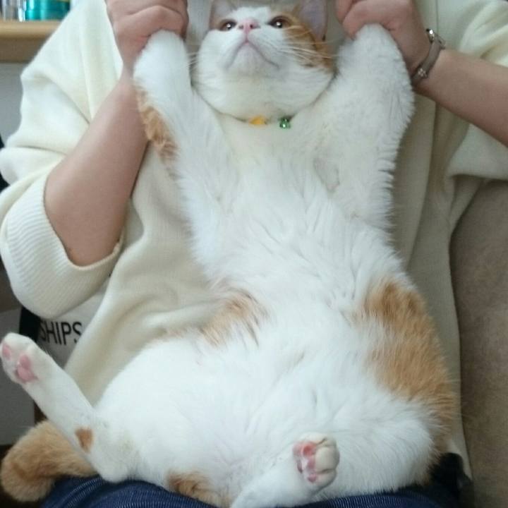 737ee9be 4c8c 41b7 b733 dd8de25c1032