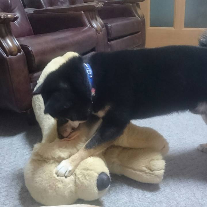 737f8745 f544 472d ba47 bb97c8181fa3