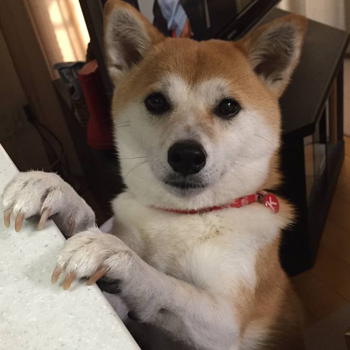 73805163 6f28 46bd 9748 5d943b834714