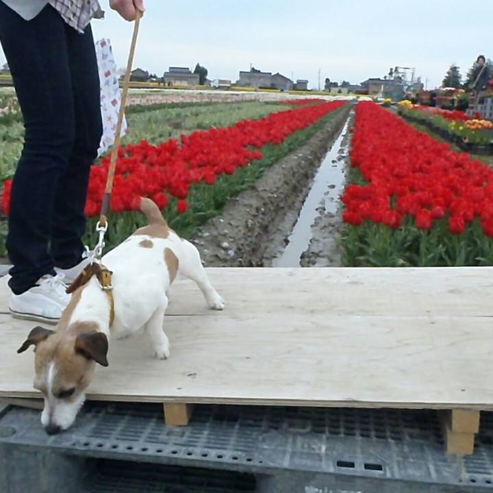 7380b3a4 9cb7 404c b677 cdfa017fa89d