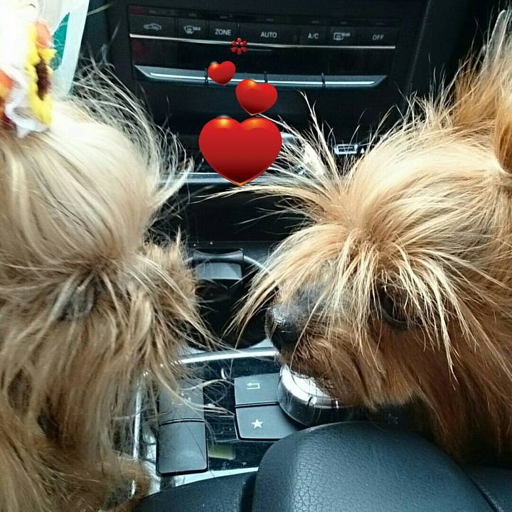 7380db17 4f3d 4043 8364 94c491589491