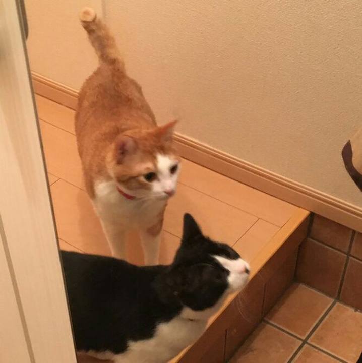 7382482a 7dcd 4e77 a219 d63123960f68