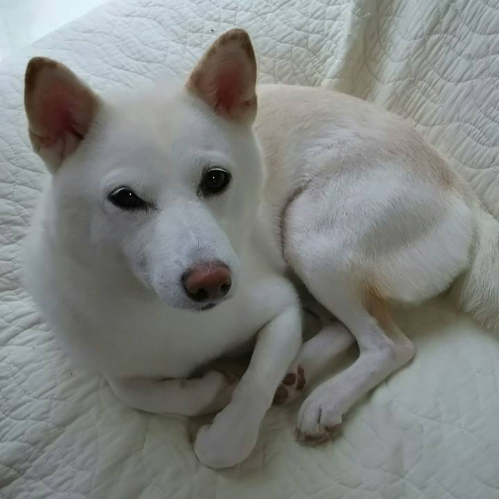 738290cb 71d1 4b5a a74b b465d74a487a