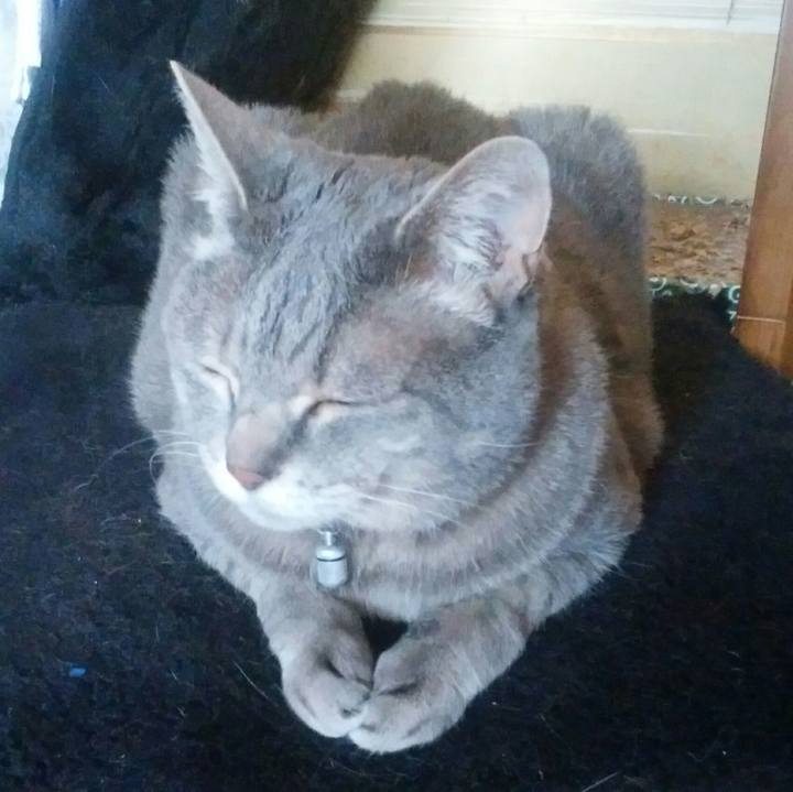 7382ceb1 e538 4ecc bab5 245061ef63b0