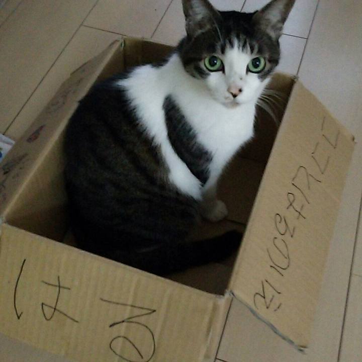 7382e929 722c 4934 bad5 644f69a125e0