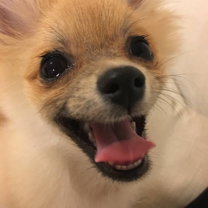 73835177 9d4b 4fdd a57e 03b7be847fb8