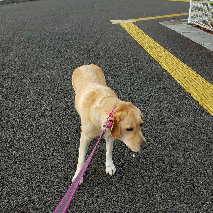 73837a94 1ed1 46bf 8d33 a3d7a3266fa6