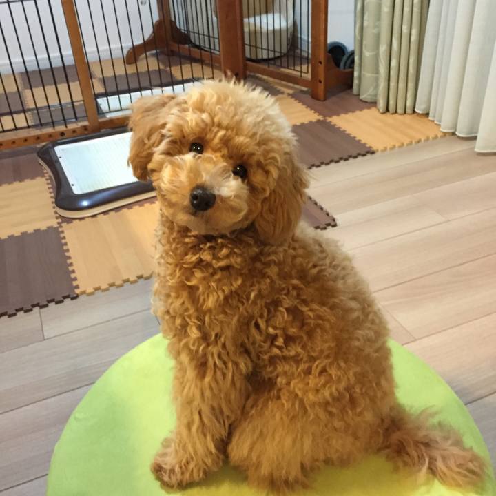 7383c805 d602 4c03 bb72 2aa1de84ec08