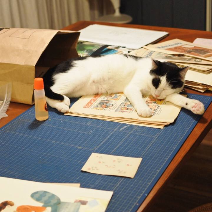 73849a5b 23ec 4234 bd80 12a27b146e65