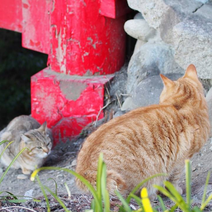 7384f974 bf62 4db9 b8e5 a11477f5fd68