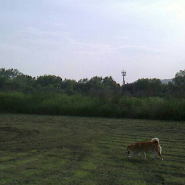 73860352 f671 4aa4 95a9 bfc4e2e6920c