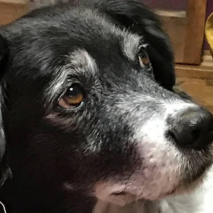 738659a2 537d 4e35 8b25 a67235819e85