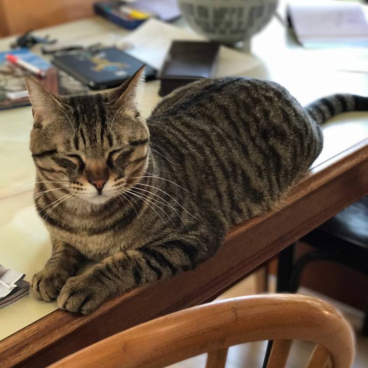 73866cf4 48a6 4c81 b5b0 c9fa6133668d