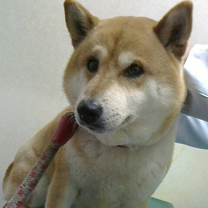 7386cf41 0cbf 4764 ae99 0926c0373018