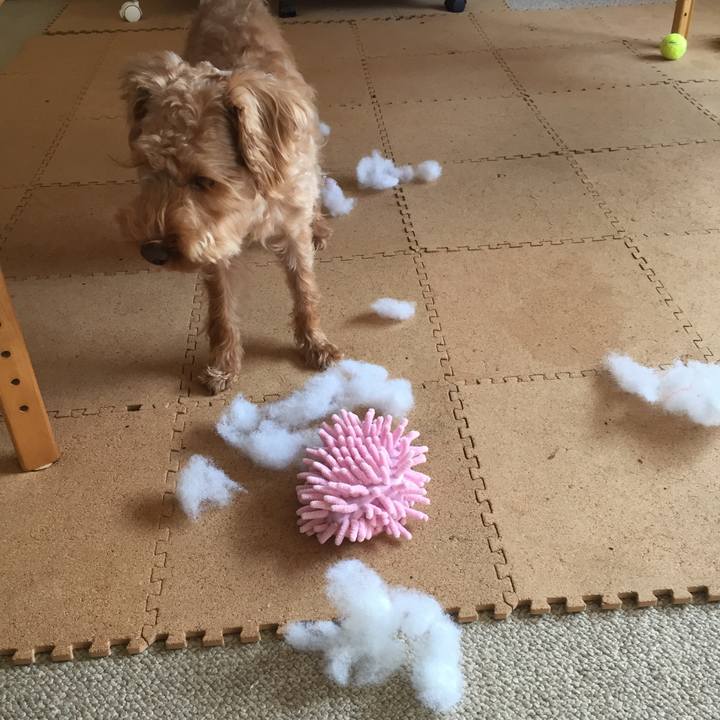 7386ded8 15eb 4778 9933 4d01ce7337ab