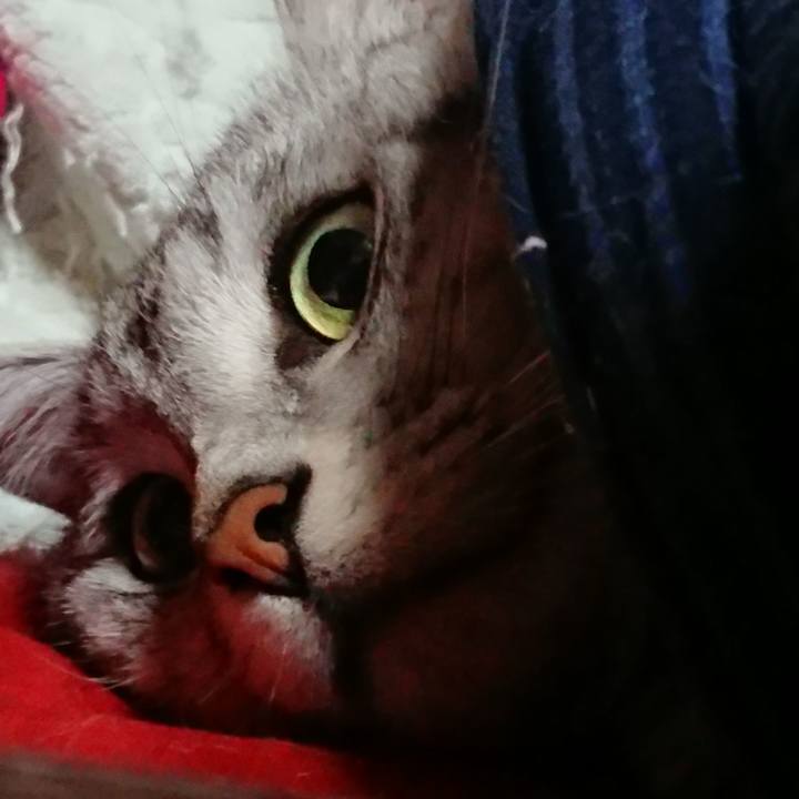 7387ad01 d47a 4b92 8c86 862044e6c9d3