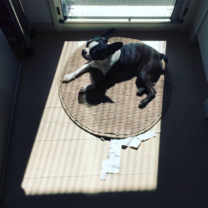 7387b862 3839 47de b1b5 b936b3853bb6