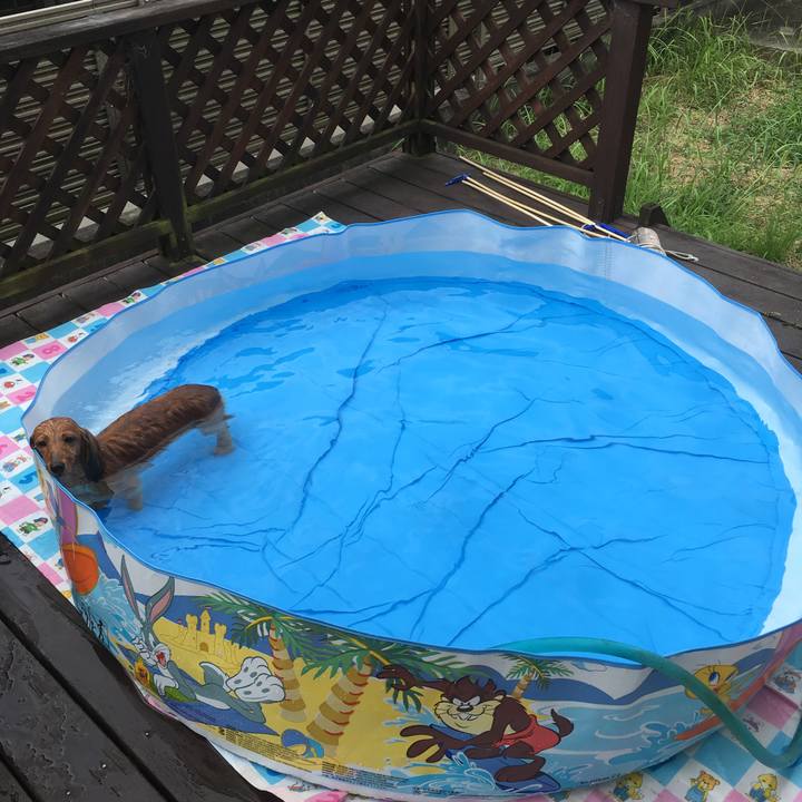 7388617b 8bfe 4a74 805b d460e93916f4