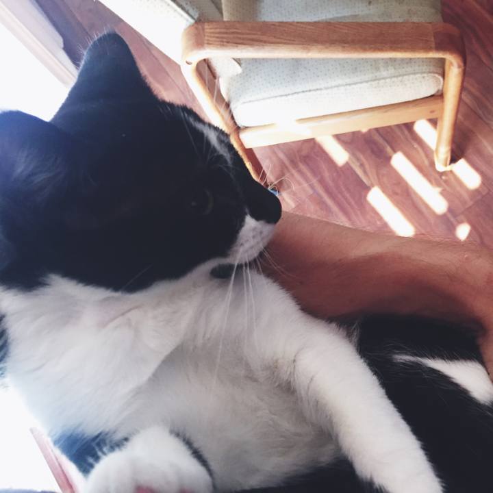 738975a4 6722 44bb 87fa 4e1e94b99184