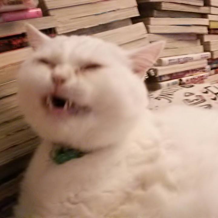 7389f9f6 3ef2 4f1d 81d4 e07f31cb9188