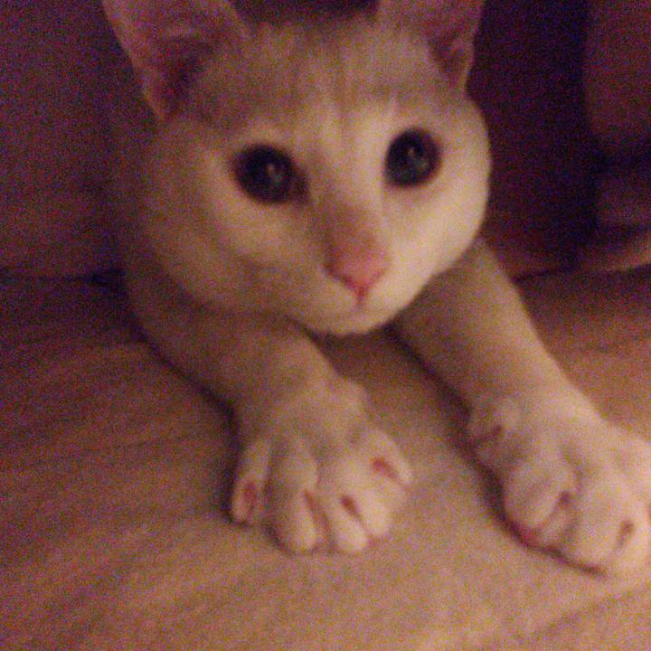 738adf1c ec6a 46bf 83d8 bac9b2e7851f